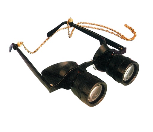 [DSL-3153  2.8X28] LOW VISION SPORT GLASSES