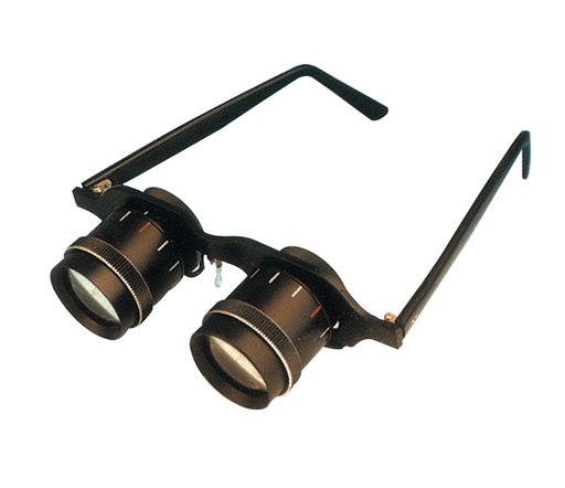 [DSL-3156  2.5X25] Gafas deportivas para baja visión